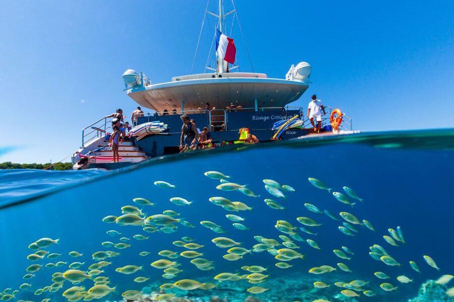 Cannes: Half-Day Catamaran Cruise - Key points before you go