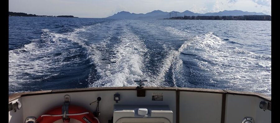Cannes: Private Boat Trip to Lerins Islands & Cap d'Antibes - Practical tips that make the day easier