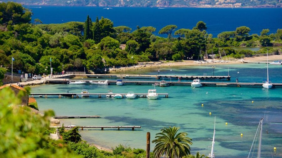 Cannes: Private Boat Trip to Lerins Islands & Cap d'Antibes - Private boat from Cannes: the real reason this feels worth it