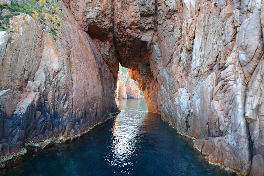 Cargèse: Scandola and Piana Boat Tour with Stop at Girolata - Wildlife on the Route: Eagles, Goats, Fish, and the Chance of Dolphins