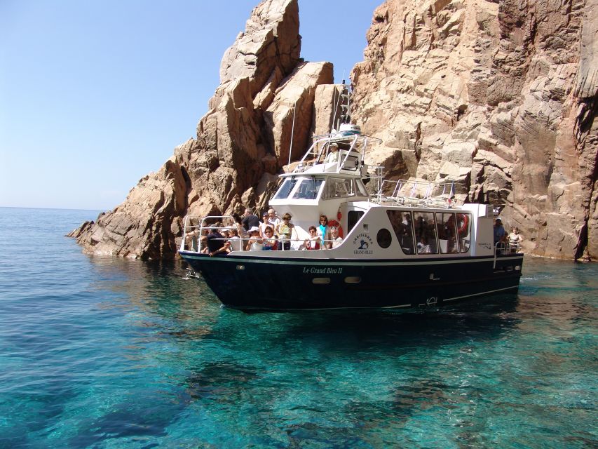 Cargèse: Scandola, Girolata, and Piana Afternoon Boat Tour - The Monk Seal Bay, Clear Water, and Wildlife You Might Actually Spot