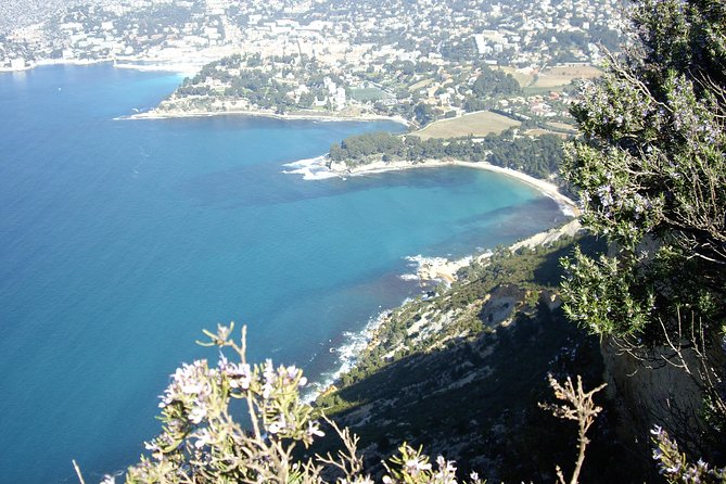 Cassis Half-Day Trip from Aix-en-Provence - Price and value: $96.75 plus the cruise option