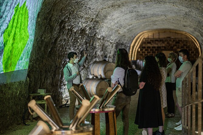 Caves Ambacia, Tour and Wine Tasting in Amboise, Loire Valley - Timing, pacing, and group size: what to expect
