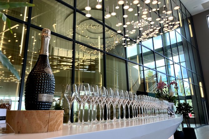 Champagne and Reims Tasting Day Trip from Paris - Inside Champagne houses: Tours, cellars, and what you actually learn