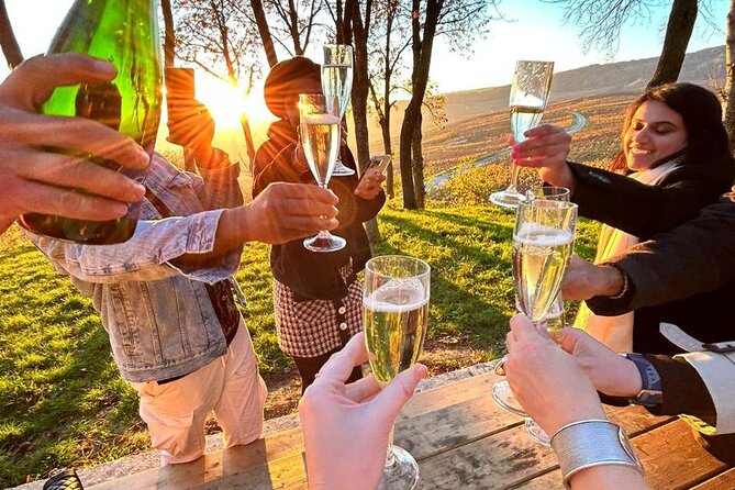 Champagne and Reims Tasting Day Trip from Paris - Montagne de Reims viewpoint and photo-friendly breaks