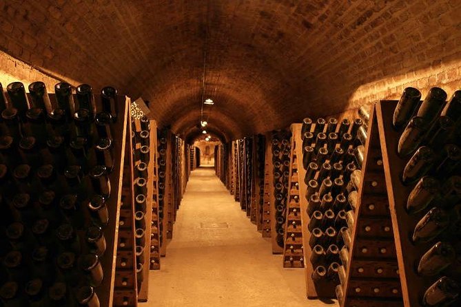 Champagne and Reims Tasting Day Trip from Paris - Reims Cathedral: the history stop that deserves more time