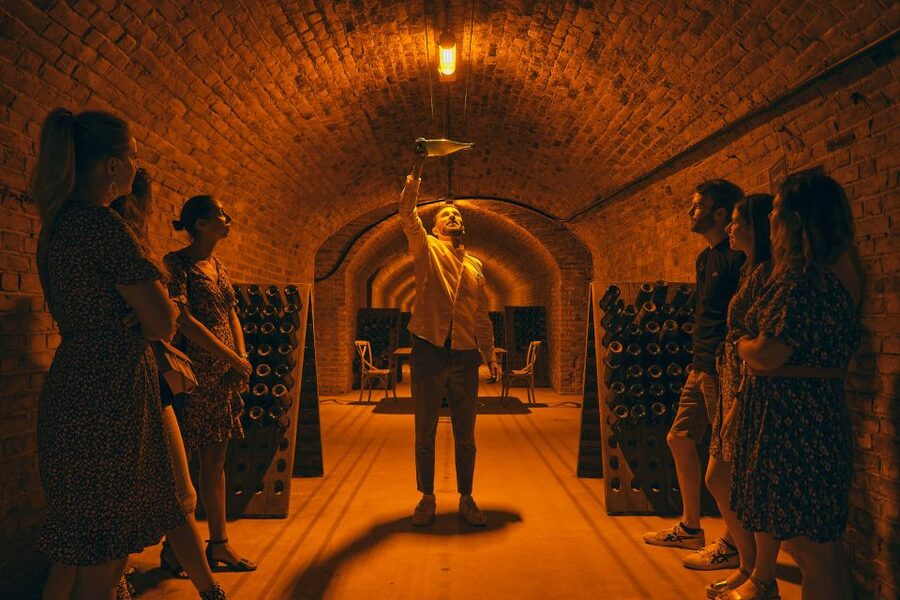 Champagne: Champagne Tasting Class with Lunch - Lunch at a Champagne house: regional plates paired with the pours