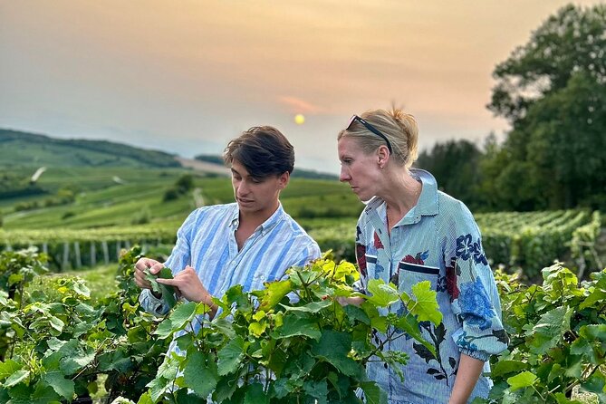 Champagne Day Trip from Paris with 8 Tastings & Lunch - Quick Highlights I Think You Should Prioritize