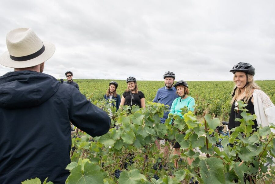 Champagne: E-Bike Champagne Day Tour with Tastings and Lunch - Le Clos Corbier: cellar tour, four tastings, and the French lunch payoff