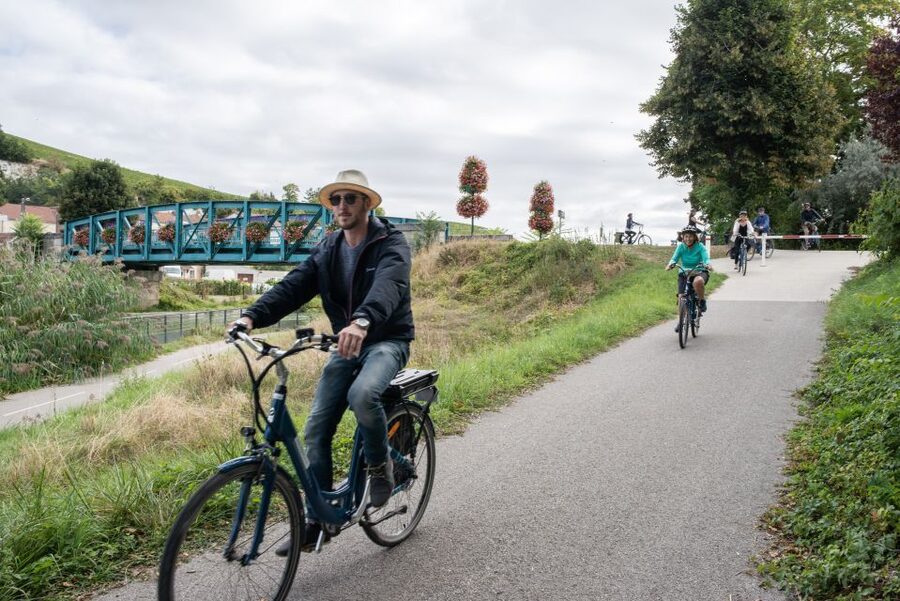 Champagne: E-Bike Champagne Day Tour with Tastings and Lunch - Who this suits best (and how to prepare)