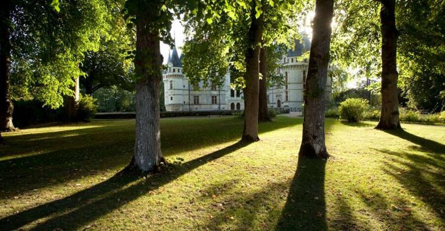 Château of Azay-le-Rideau Entry Ticket - Entering the château: the exterior details worth slowing down for