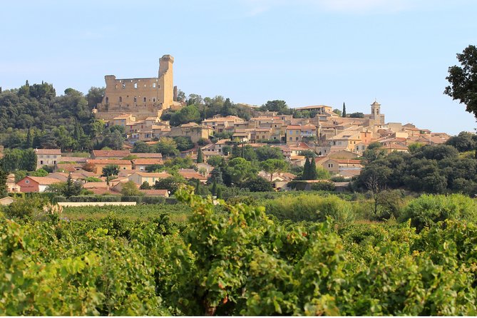 Châteauneuf du Pape Wine Day Tasting Tour including Lunch from Avignon - Walking, Heat, and What to Pack for the Rhône Valley