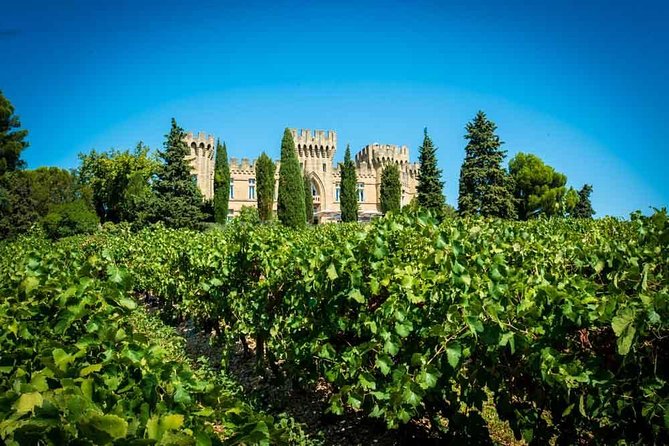 Chateauneuf du Pape wine tour - Chateauneuf-du-Pape terroir, explained in plain language