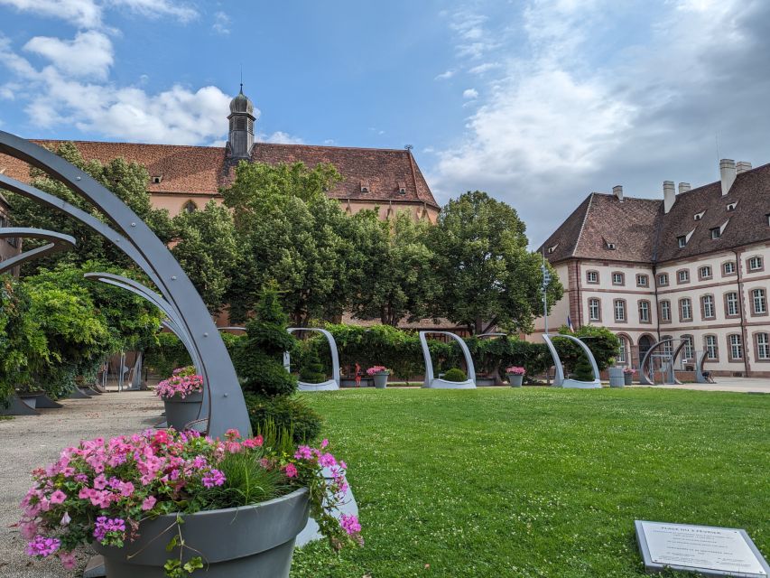 Colmar: Highlights Walking Tour and Wine Tasting - The tasting at an old Colmar cellar, with real wine culture