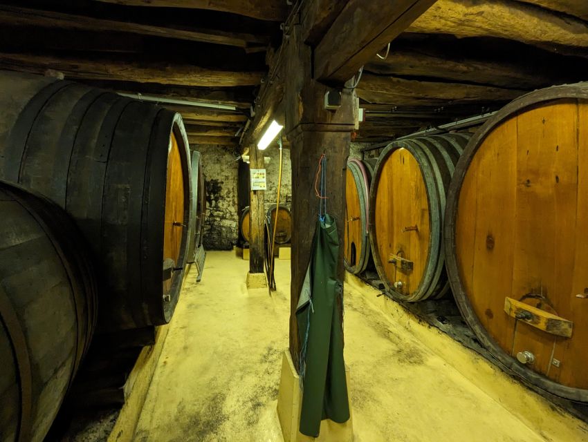 Colmar: Highlights Walking Tour and Wine Tasting - Finding the tour start at Parc du Champ de Mars, fontaine Bruat