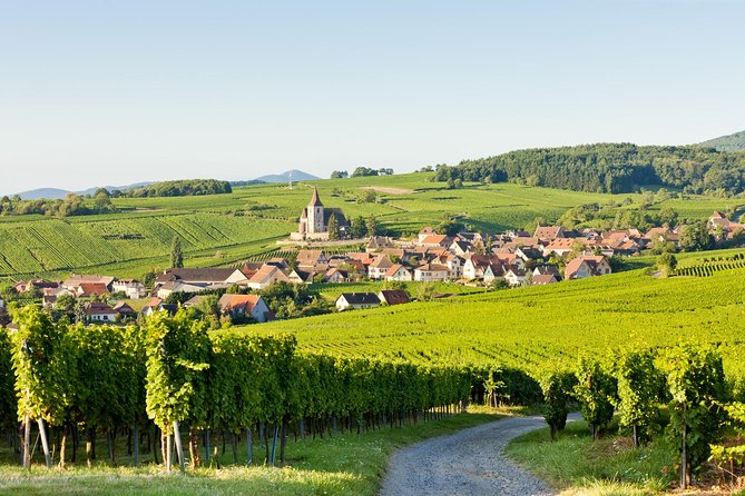 Colmar, Medieval Village & Castle Small Group from Strasbourg - Eguisheim and the Alsace Wine Route: pretty hills, but check winter expectations