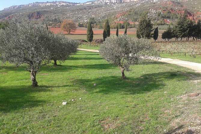 Cotes de Provence Wine Tour from Aix-en-Provence - Key things I’d circle before booking