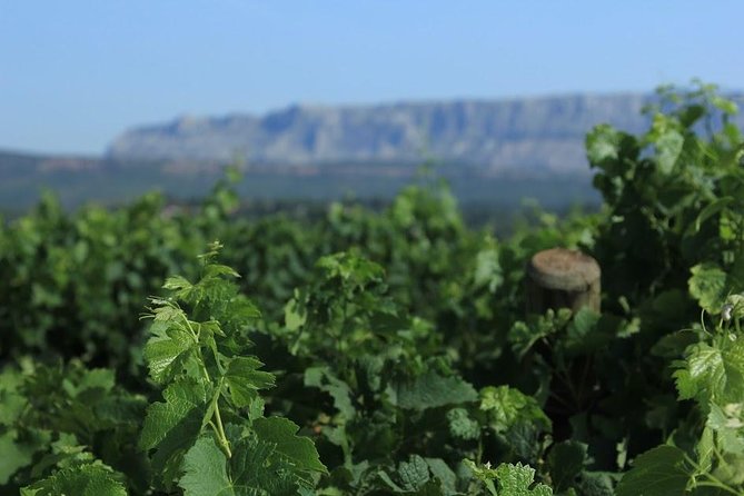 Cotes de Provence Wine Tour from Aix-en-Provence - Getting There From Aix: Meet Point, Timing, and a Smooth Ride