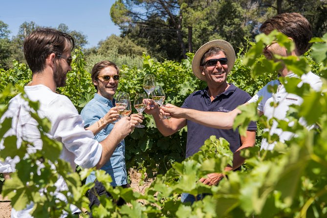 Cotes de Provence Wine Tour from Aix-en-Provence - What to Do If You Want More Than Two Tastings
