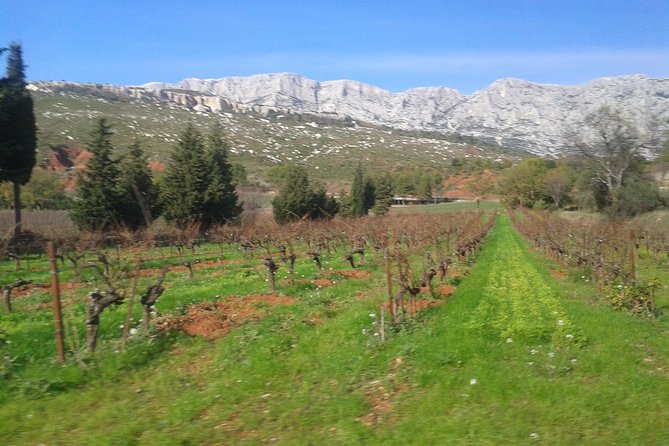Cotes de Provence Wine Tour from Aix-en-Provence - Stop 1: Mas de Cadenet Wine Tasting, What You’ll Be Listening For