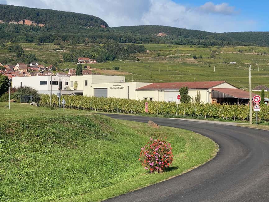 Dare to Alsace Wine with a Feminine Touch - Who should book this Alsace wine tour?