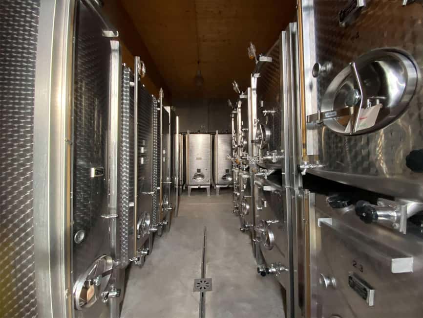 Dare to Alsace Wine with a Feminine Touch - The 2-hour rhythm: vineyard first, then cellar tech, then tasting