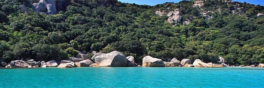 Day cruise to the Cerbicales & Lavezzi Islands with lunch - Why the family-run Chiocca crews matter