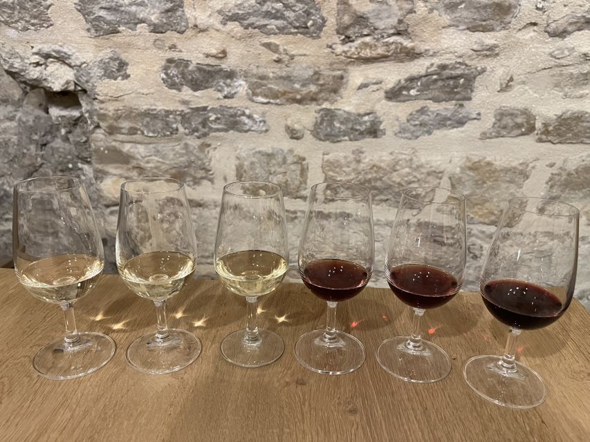 Dijon: Cheese and Burgundy Wine Tasting Workshop - Pairing lessons that help you order smarter in Burgundy