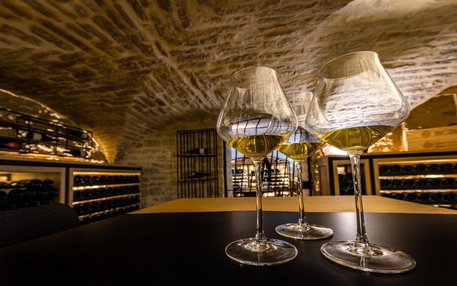 Dijon: La Cave du Palais Burgundy Wine Tasting Experience - La Cave du Palais and why this Dijon location matters