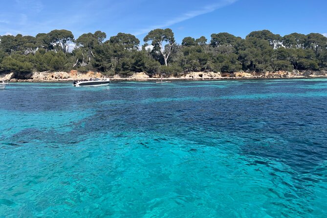 Discover the Lérins Islands and the Bay of Cannes by Private Boat - Onboard gear, drinks, and why the included extras matter