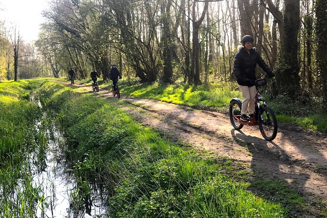 Discover Versailles on electric 2-wheelers (Yes to PRM) - The bottom line: should you book this scooter tour of Versailles?