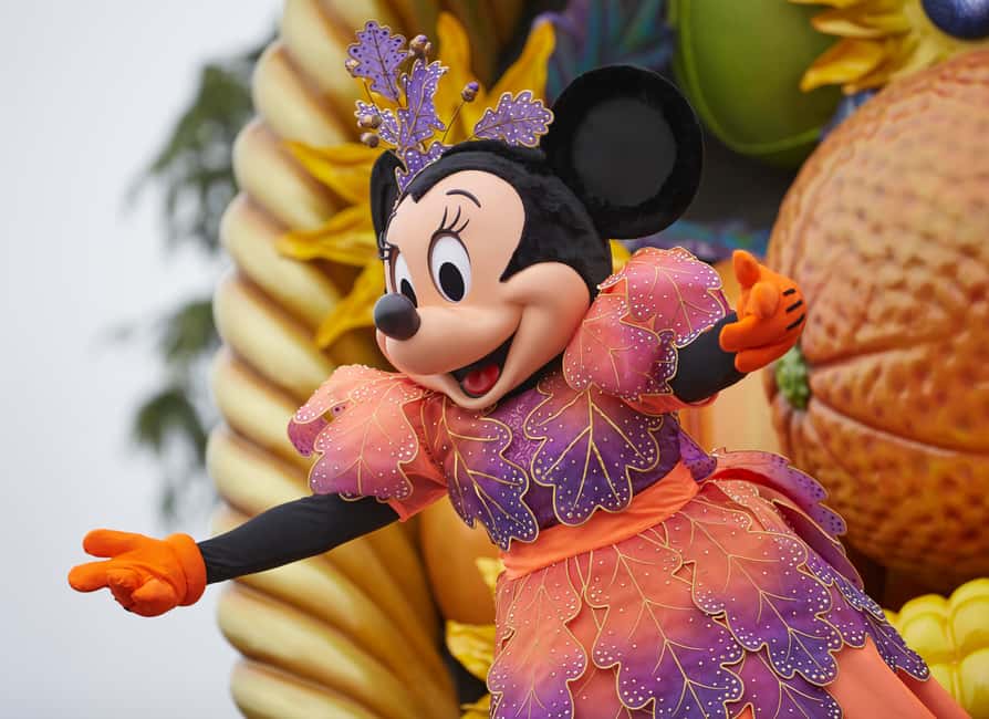 Disneyland® Paris 1-Day Ticket - Getting to Disneyland Paris from central Paris (about 35 minutes)