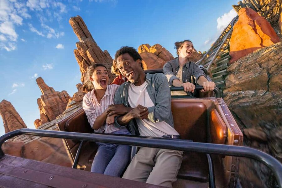 Disneyland® Paris Tickets and Shuttle Transport - Common Friction Points, and How to Avoid Them