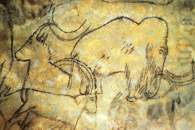 Dordogne Day Tour : Prehistory and The Art of the Caves from Sarlat - Quick hits before you go