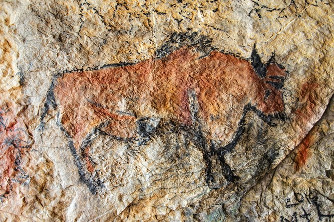 Dordogne Day Tour : Prehistory and The Art of the Caves from Sarlat - Price and value: why $199.55 can make sense here