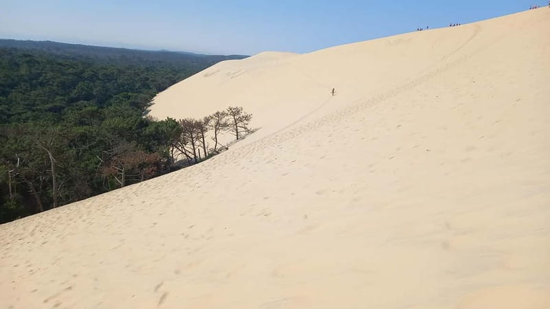 Dune du Pilat, Oysters Tasting and Arcachon! What else ? - Key things to know before you go