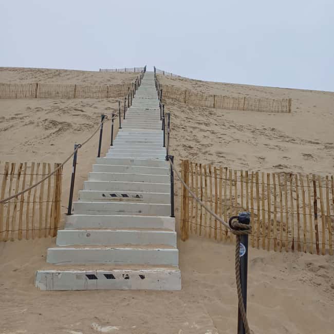 Dune du Pilat, Oysters Tasting and Arcachon! What else ? - Should You Book This Dune du Pilat and Arcachon Oyster Tour?