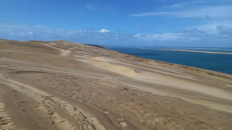 Dune du Pilat, Oysters Tasting and Arcachon! What else ? - A Small-Group Bay Day From Bordeaux That Feels Like a Friend’s Plan