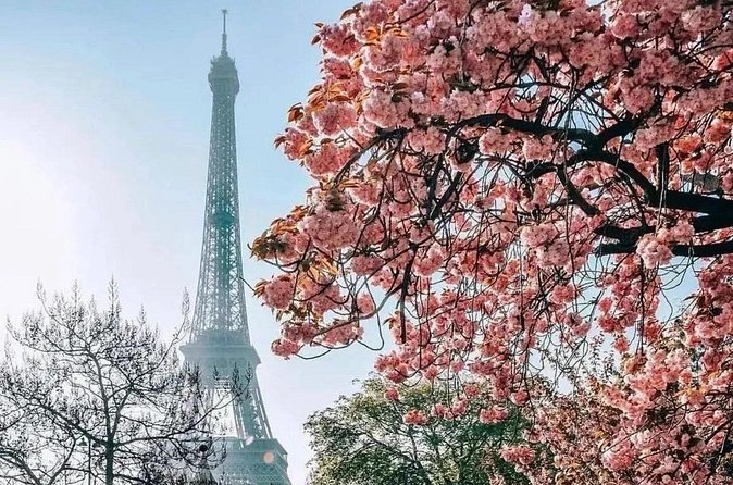 Eiffel Tower Dedicated Reserved Access Top or 2nd floor by lift - What It’s Like Up There: Photos, Rails, and Taking Your Time