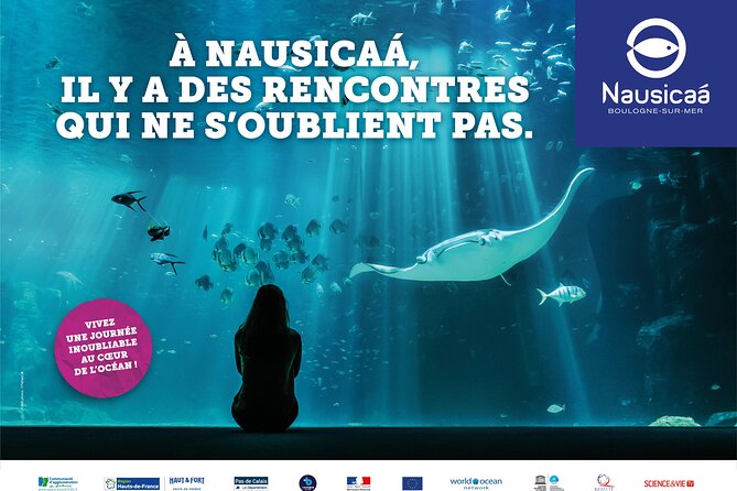 Entrance Ticket Nausicaa, the biggest aquarium in Europe - Stop 1: Nausicaa National Sea Centre, from manta rays to sea lions