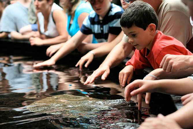 Entrance Ticket Nausicaa, the biggest aquarium in Europe - Family day out value: why it works for kids and adults