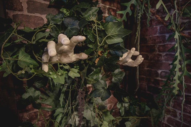 Escape Hunt Paris, Escape Game - Value for money: what $65.31 buys you in real terms