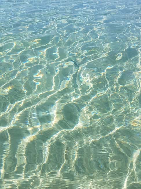 Excursion to Porquerolles Island from Bandol - 6h30 on Porquerolles, how to spend it