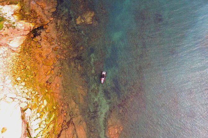 Explore the Wild Beauty of the Basque Coast by Boat - Jaizkibel, Bay of Pigs Area, and a Short Swim Stop
