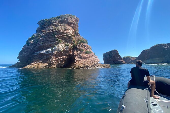 Explore the Wild Beauty of the Basque Coast by Boat - Price and Value at About $83.27 per Person