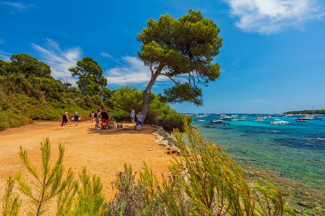 Ferry from Cannes to the island Ste Marguerite - On the island: how to spend your free time well