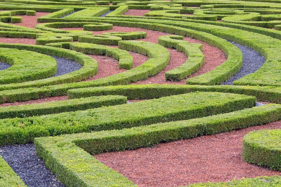 Fontainebleau & Vaux-le-Vicomte Châteaux Day Tour from Paris - Who should book this, and who should skip the one-day combo