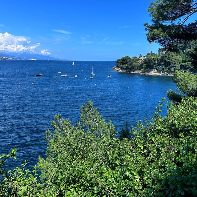 French Riviera Private Boat Trip - Who Should Book, and Who Should Skip (Seasickness and Wheelchairs)
