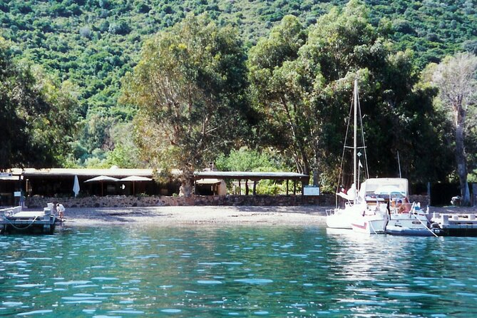 Friendly discovery of Scandola Calanques de Piana and meal stop at Girolata - Price and Value: What $82.27 Gets You