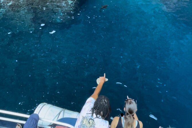 Friendly discovery of Scandola Calanques de Piana and meal stop at Girolata - Should You Book This Scandola and Girolata Cruise?